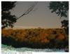 Palombe