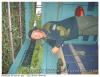 Palombe