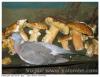 Palombe et ceps