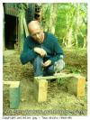 Palombe