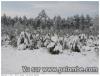 neige de mars
