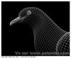 Palombe 3D