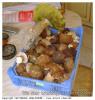 CEPES