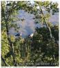 petits bleus sur les raquettes