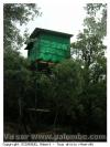 Cabane à roro