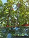 journee nacelle