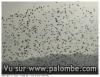 palombes par milliers