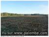 180° foret de mouliere