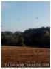 colombin foret de mouliere
