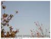 Grue oct 08