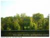 Vue sud