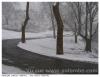 Neige