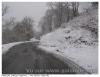 Neige