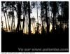 Coucher
