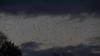 Bleue