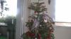 Joyeux Noël à tous.