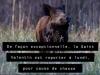 Saint Valentin