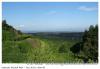 Vignoble alsace