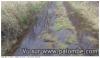 chemin