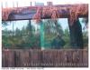 Cabane