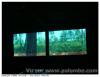 Cabane