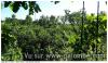 Vue d un arbre de pause