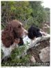 Mes 2 amours .....