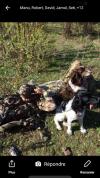 La chasse en corse