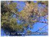gui juin 2013
