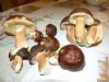 Cepes