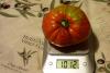 tomate coeur de boeuf