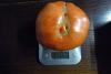 tomate