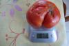 tomate