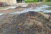 compost