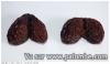 prunes ridées