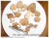 MORILLES 2011