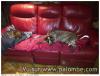 le repos