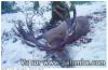 hiver 2010