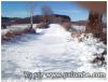 le chemin