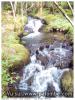 ruisseau