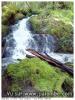 ruisseau