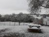 Neige