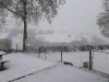 Reneige