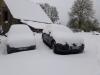 Neige