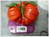 tomate