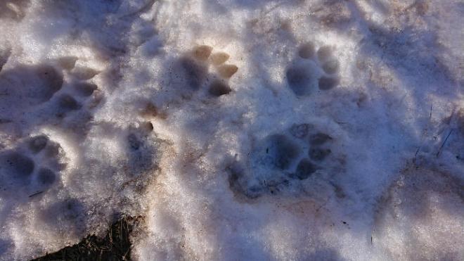 20210221000612dsc_0306.jpg