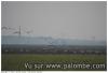 Grues mais pas