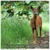 Petite rencontre