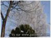 brouillard givrant