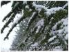 La Beauce sous la neige (2013).